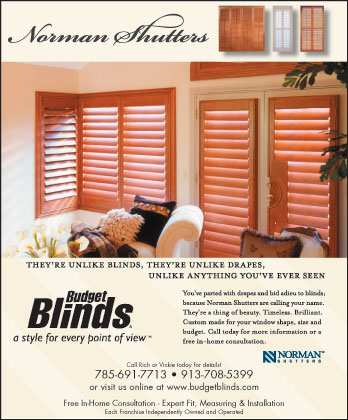 budget blinds vs home depot