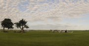 Pawnee Indian Museum panorama showing site of KAA dig near Courtland, Ks. Note: this is just for Chris Metz