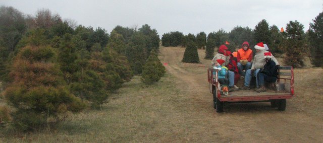 tree farms whittled away ljworld com tree farms whittled away ljworld com