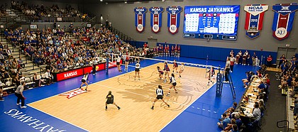 KU volleyball plays its first match in the newly renovated Horejsi Family Volleyball Arena against Morehead State Thursday, Sept. 12.