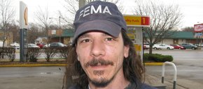 Photo of Freeman Fly