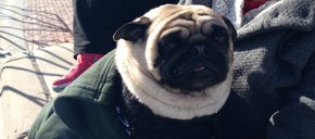 Photo of Tank