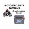 Motorcycle/ATV Batteries