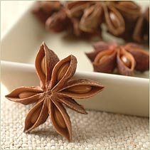 Anise Seed Oil