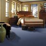 "Carpet ... Help me decide!!"