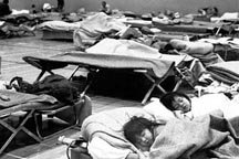 Disaster Relief