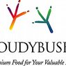 Roudybush Premium Bird Foods