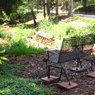 Sensory Garden