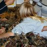 Sight Conservation
