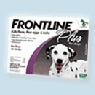 Frontline