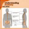 Understanding Anatomy