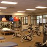 Physical & Occupational Therapy Services