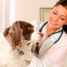 Emergency Animal Rescue