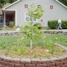 ICF/MR AND OTHER SPECIALIZED COMMUNITY HOMES