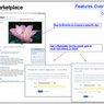 3. Feature Overview - Calendar