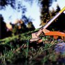 STIHL Trimmers/Brushcutters