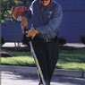 STIHL Edgers