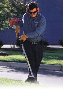 STIHL Edgers