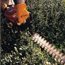 STIHL Hedge Trimmers