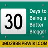 2008 Digital Jaywalker Journal (PBworks)