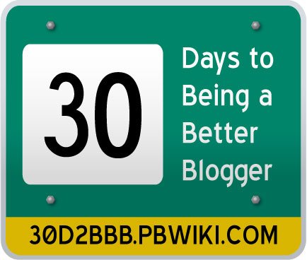 2008 Digital Jaywalker Journal (PBworks)