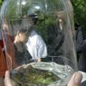 Young students close-up with nature