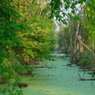2009 WakarUSA Wetlands - FAQ