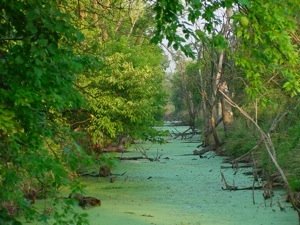 2009 WakarUSA Wetlands - FAQ