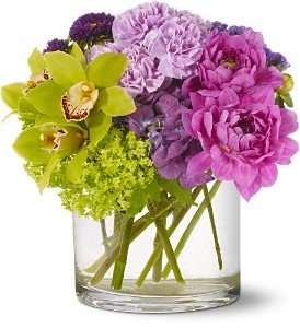 Modern Flowers