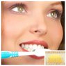 Porcelain Crowns