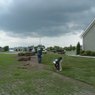 Lawn Seed & Sod