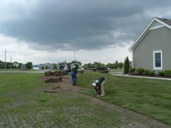 Lawn Seed & Sod