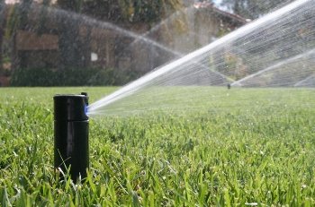 Sprinkler System Design & Installation