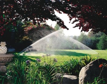 Seed & Sod Care