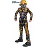 074 Bumblebee Transformer
