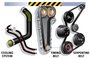 Belts & Hoses