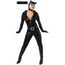 253 Catwoman