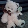 Tickled Pink Bear