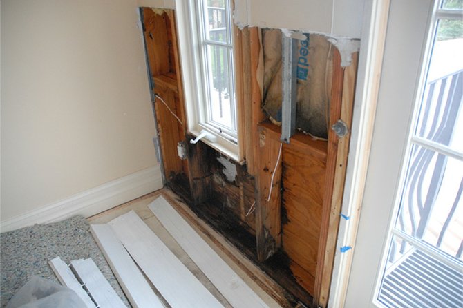 Wood Replacement and Repair