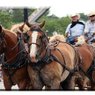 Parade Map for Residents - Saturday, June 4th - 10:00 a.m.