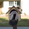 National mail delivery