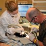Restorative Dentistry