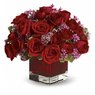 Love & Romance