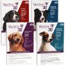 Vectra 3D® Dogs