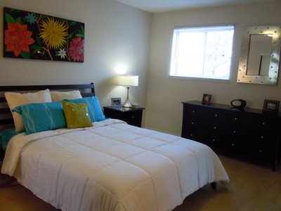 Apartment Amenities