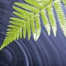 Green Cleaning and Sustainability are Good for our Lawrence Businesses