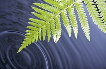 Green Cleaning and Sustainability are Good for our Lawrence Businesses