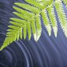 Green Cleaning and Sustainability are Good for our Lawrence Businesses