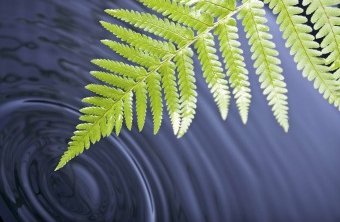Green Cleaning and Sustainability are Good for our Lawrence Businesses