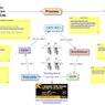 2013 LEAP-MPO Bicycle Safety Guide